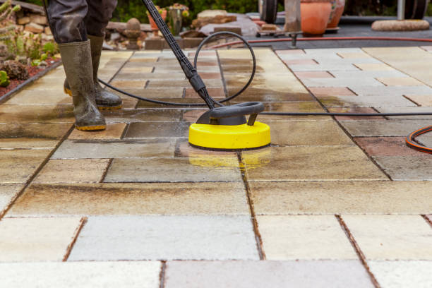 Best Winterizing Services  in Freeland, MI