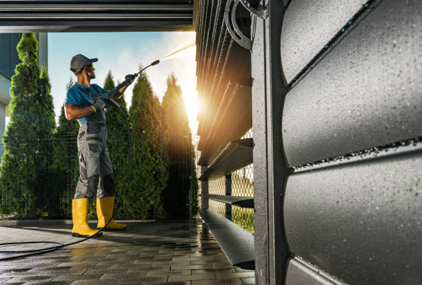 Best Roof Washing  in Freeland, MI