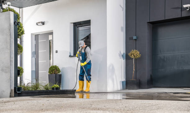 Best Pool Deck Cleaning  in Freeland, MI