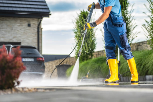 Best Soft Washing  in Freeland, MI